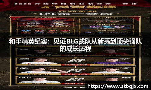 OB电竞官网