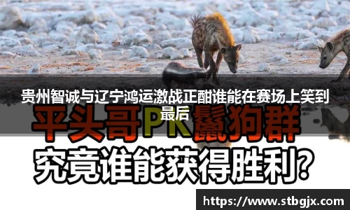 OB电竞首页